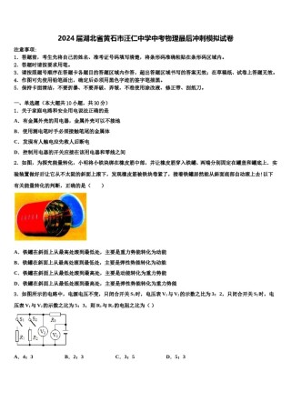 2024届湖北省黄石市汪仁中学中考物理最后冲刺模拟试卷含解析.doc