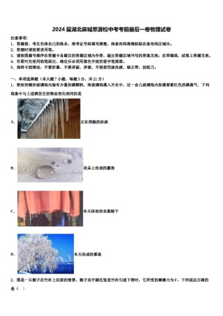 2024届湖北麻城思源校中考考前最后一卷物理试卷含解析.doc