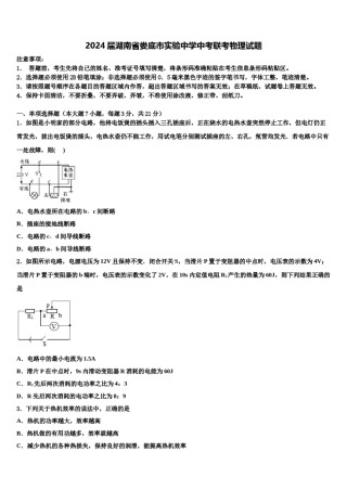 2024届湖南省娄底市实验中学中考联考物理试题含解析.doc