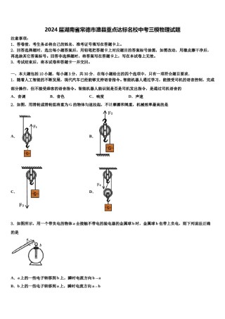 2024届湖南省常德市澧县重点达标名校中考三模物理试题含解析.doc