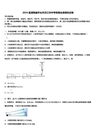2024届湖南省怀化市洪江市中考物理全真模拟试卷含解析.doc