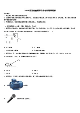 2024届湖南省新邵县中考物理押题卷含解析.doc