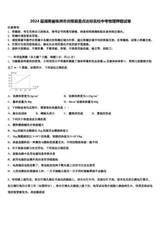 2024届湖南省株洲市炎陵县重点达标名校中考物理押题试卷含解析.doc