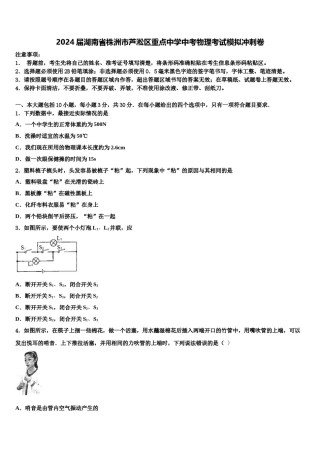2024届湖南省株洲市芦淞区重点中学中考物理考试模拟冲刺卷含解析.doc