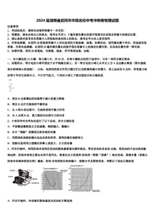 2024届湖南省武冈市市级名校中考冲刺卷物理试题含解析.doc
