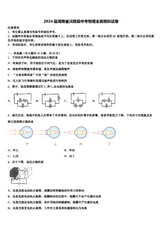 2024届湖南省沅陵县中考物理全真模拟试卷含解析.doc