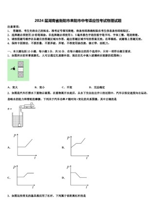 2024届湖南省衡阳市耒阳市中考适应性考试物理试题含解析.doc