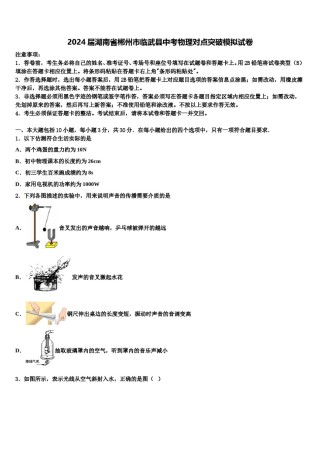 2024届湖南省郴州市临武县中考物理对点突破模拟试卷含解析.doc