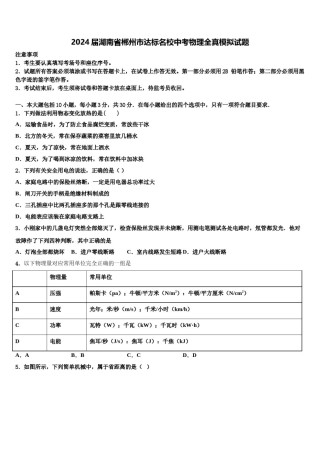 2024届湖南省郴州市达标名校中考物理全真模拟试题含解析.doc