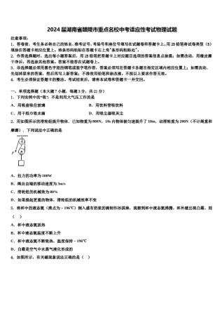 2024届湖南省醴陵市重点名校中考适应性考试物理试题含解析.doc