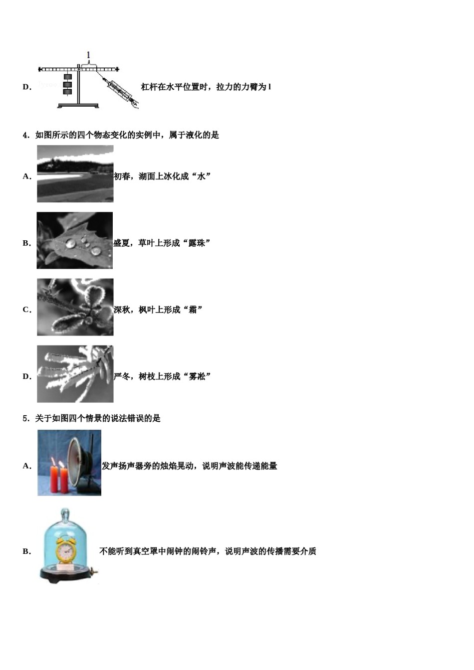 2024届湖南长沙麓山国际实验校中考四模物理试题含解析.doc_第2页