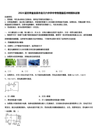 2024届甘肃省金昌市金川六中学中考物理最后冲刺模拟试卷含解析.doc