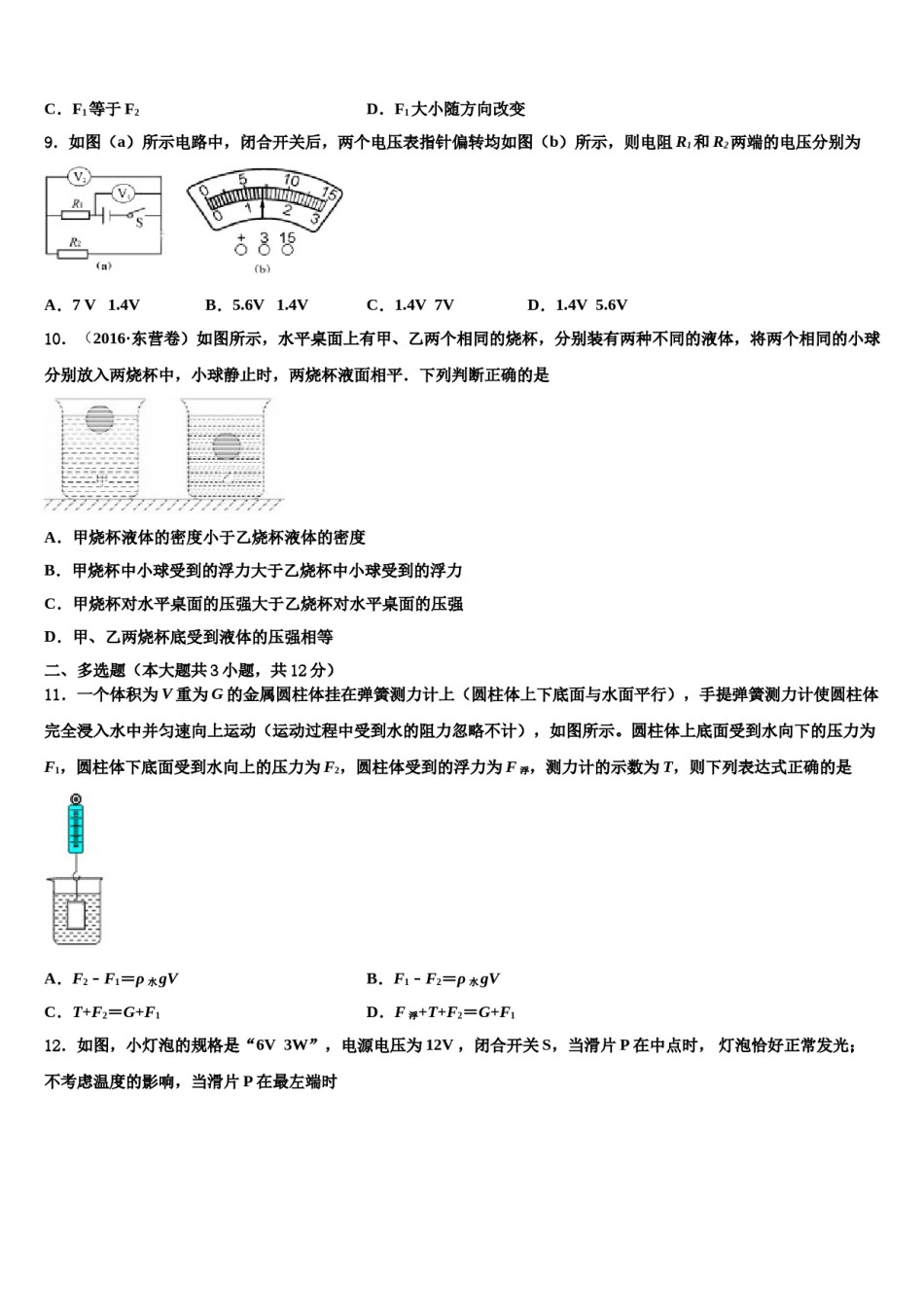 2024届福建省晋江市南侨中学十校联考最后物理试题含解析.doc_第3页
