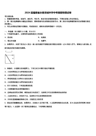 2024届福建省永春汤城中学中考猜题物理试卷含解析.doc
