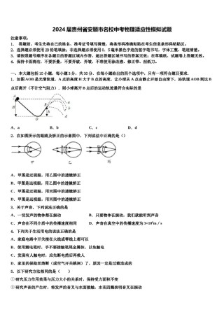 2024届贵州省安顺市名校中考物理适应性模拟试题含解析.doc