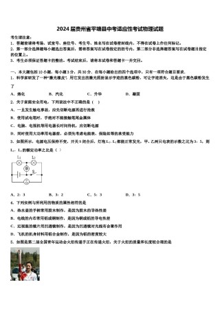 2024届贵州省平塘县中考适应性考试物理试题含解析.doc