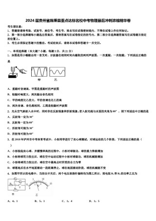 2024届贵州省施秉县重点达标名校中考物理最后冲刺浓缩精华卷含解析.doc