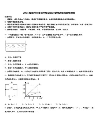 2024届赣州市重点中学毕业升学考试模拟卷物理卷含解析.doc