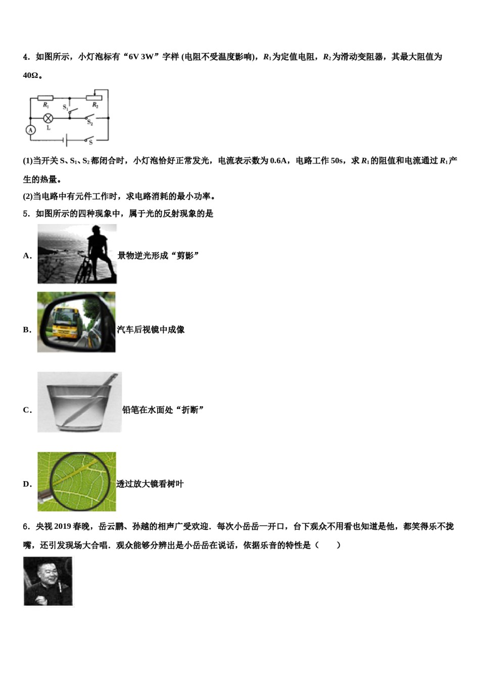 2024届辽宁省东港地区市级名校中考一模物理试题含解析.doc_第2页