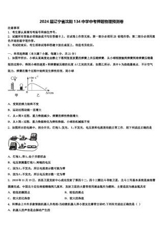 2024届辽宁省沈阳134中学中考押题物理预测卷含解析.doc