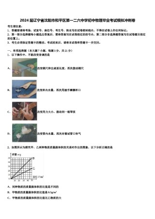 2024届辽宁省沈阳市和平区第一二六中学初中物理毕业考试模拟冲刺卷含解析.doc
