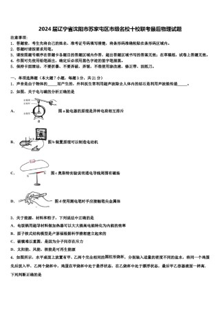2024届辽宁省沈阳市苏家屯区市级名校十校联考最后物理试题含解析.doc