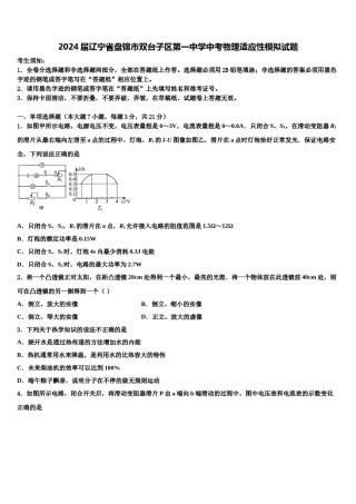 2024届辽宁省盘锦市双台子区第一中学中考物理适应性模拟试题含解析.doc