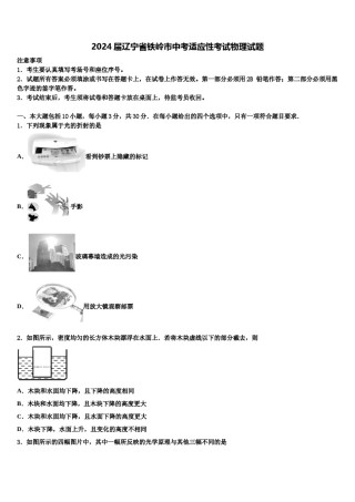 2024届辽宁省铁岭市中考适应性考试物理试题含解析.doc