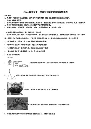 2024届重庆十一中毕业升学考试模拟卷物理卷含解析.doc