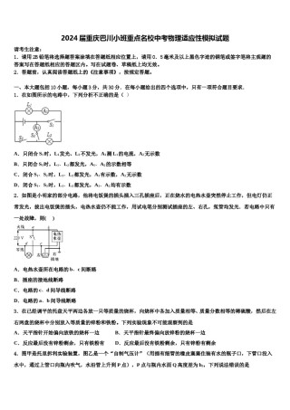 2024届重庆巴川小班重点名校中考物理适应性模拟试题含解析.doc
