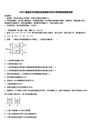 2024届重庆市巴南区鱼洞南区学校中考押题物理预测卷含解析.doc