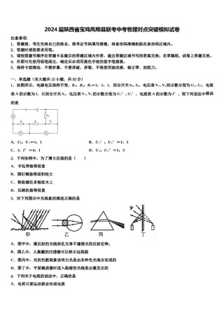 2024届陕西省宝鸡凤翔县联考中考物理对点突破模拟试卷含解析.doc