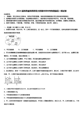 2024届陕西省陕西师范大附属中学中考物理最后一模试卷含解析.doc