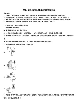 2024届随州市重点中学中考物理猜题卷含解析.doc