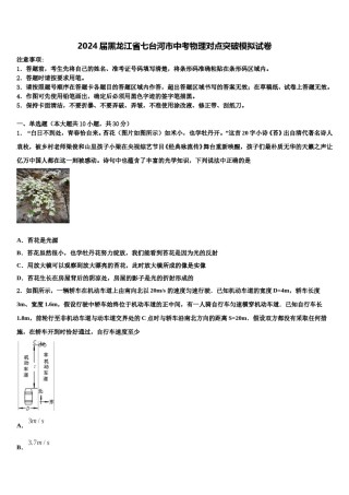 2024届黑龙江省七台河市中考物理对点突破模拟试卷含解析.doc