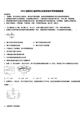 2024届黑龙江省双鸭山市集贤县中考物理猜题卷含解析.doc