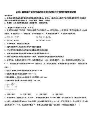 2024届黑龙江省哈尔滨市顺迈重点达标名校中考四模物理试题含解析.doc