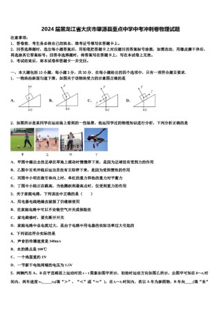 2024届黑龙江省大庆市肇源县重点中学中考冲刺卷物理试题含解析.doc