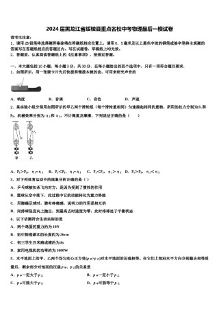 2024届黑龙江省绥棱县重点名校中考物理最后一模试卷含解析.doc