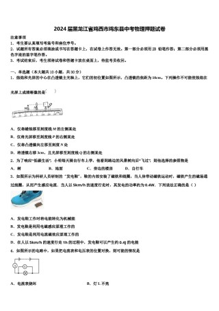 2024届黑龙江省鸡西市鸡东县中考物理押题试卷含解析.doc