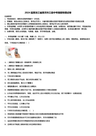 2024届黑龙江省黑河市三县中考猜题物理试卷含解析.doc
