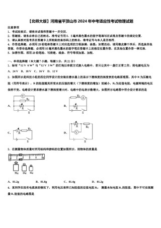 【北师大版】河南省平顶山市2024年中考适应性考试物理试题含解析.doc