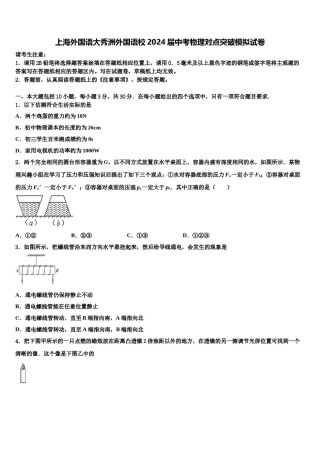 上海外国语大秀洲外国语校2024届中考物理对点突破模拟试卷含解析.doc