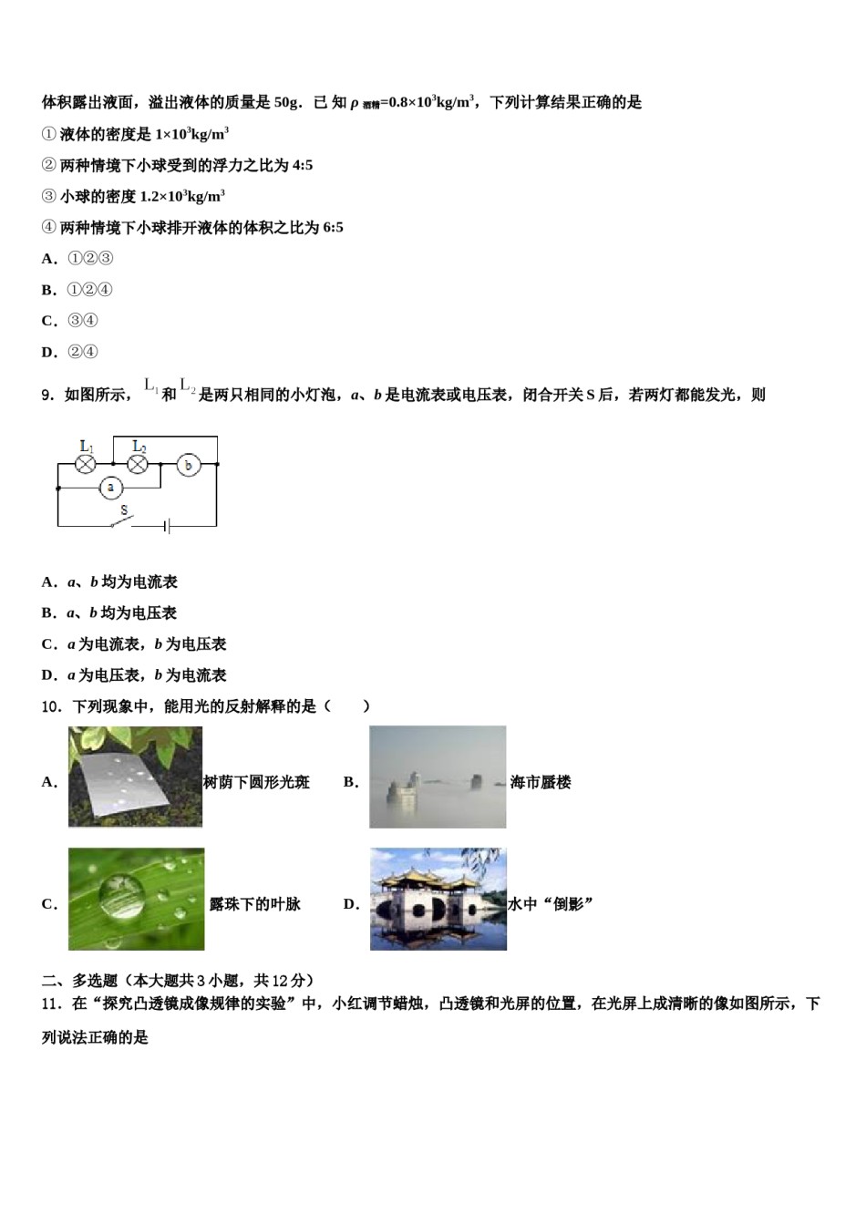 上海外国语大附属外国语校2024届中考物理对点突破模拟试卷含解析.doc_第3页