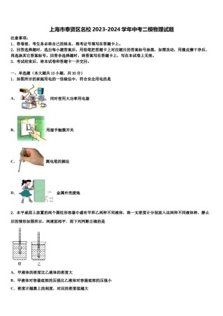 上海市奉贤区名校2023-2024学年中考二模物理试题含解析.doc
