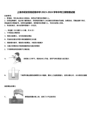 上海市延安实验初级中学2023-2024学年中考三模物理试题含解析.doc