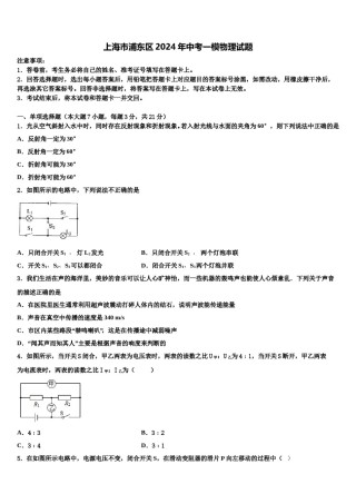 上海市浦东区2024年中考一模物理试题含解析.doc