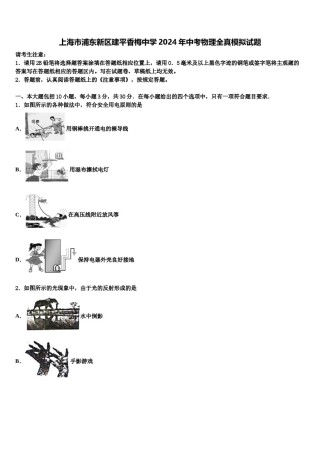 上海市浦东新区建平香梅中学2024年中考物理全真模拟试题含解析.doc