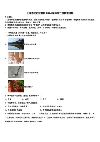 上海市闵行区名校2024届中考五模物理试题含解析.doc