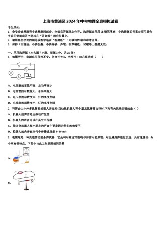 上海市黄浦区2024年中考物理全真模拟试卷含解析.doc